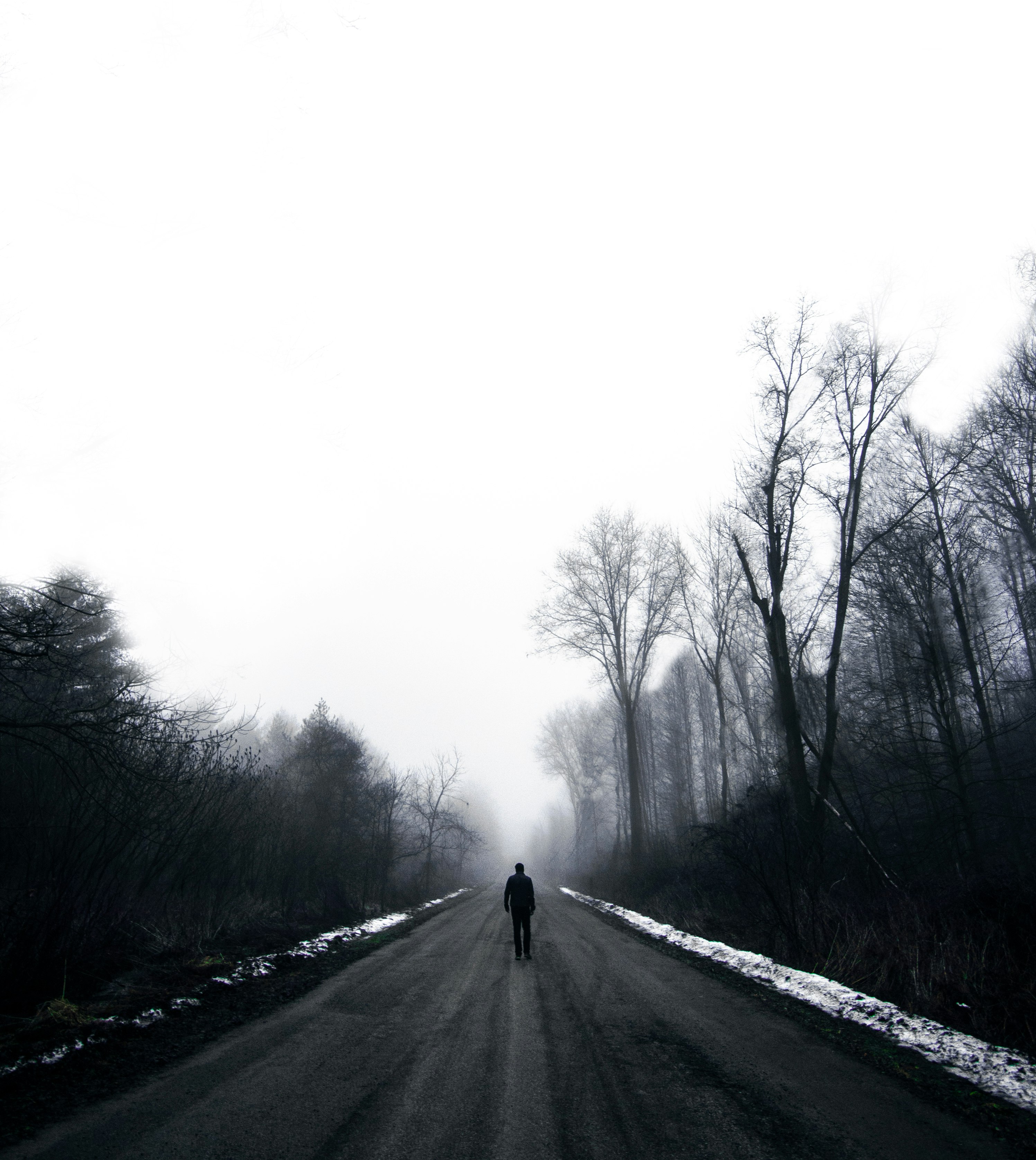 man walking on road surrounded by bare trees